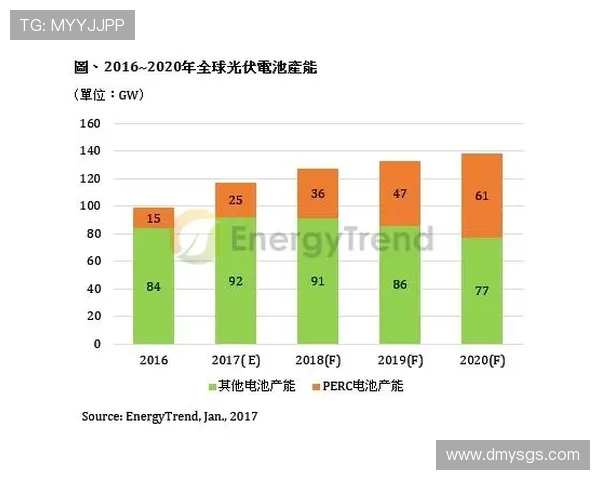 杭州网球队进攻策略分析与失误反思助力未来发展 杭州网球队进攻策略分析与失误反思助力未来发展